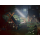 Switch Octopath Traveler - 1594365 - zdjęcie 2